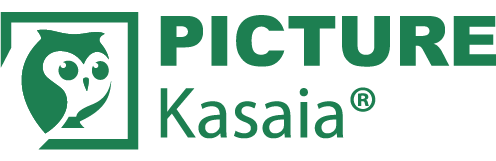 Logo der Stellenbewertungsportal Kasaia