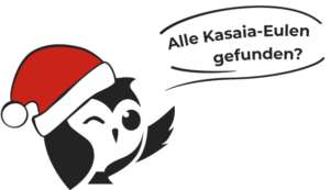 Kasaia-Eule mit Weihnachtsmütze