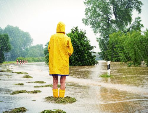 Wenn Verwaltung an ihre Grenzen kommt: Warum Prozessmanagement jetzt zur Schlüsselkompetenz wird
